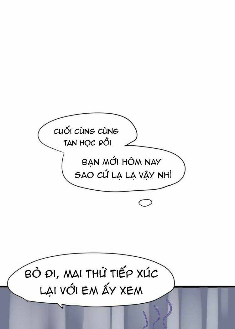 Tiểu Miêu Và Hắc Diệu Thạch: Chapter 19