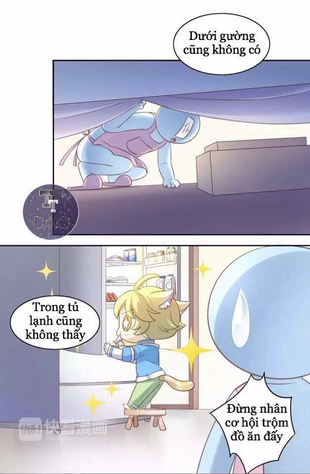 Dưới Móng Vuốt Mèo: Chapter 20
