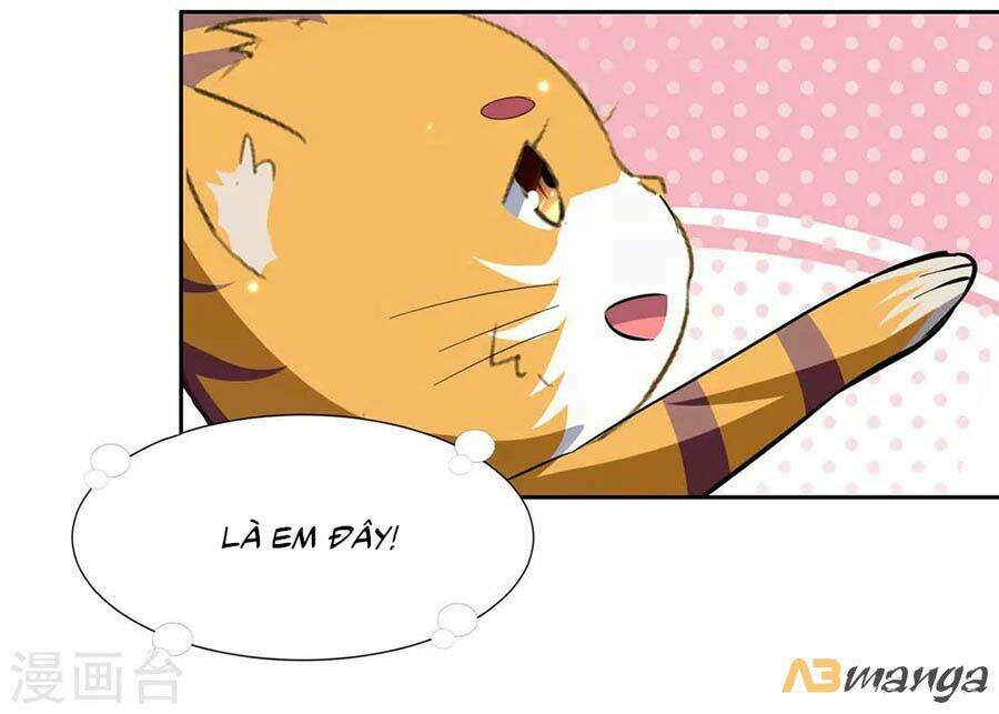 Hẹn Hò Siêu Tốc: Chapter 63