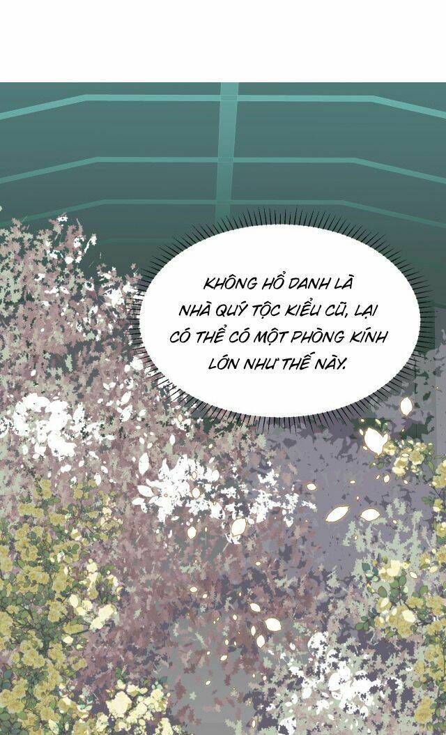 Ta Là Nữ Phụ Độc Ác: Chapter 4