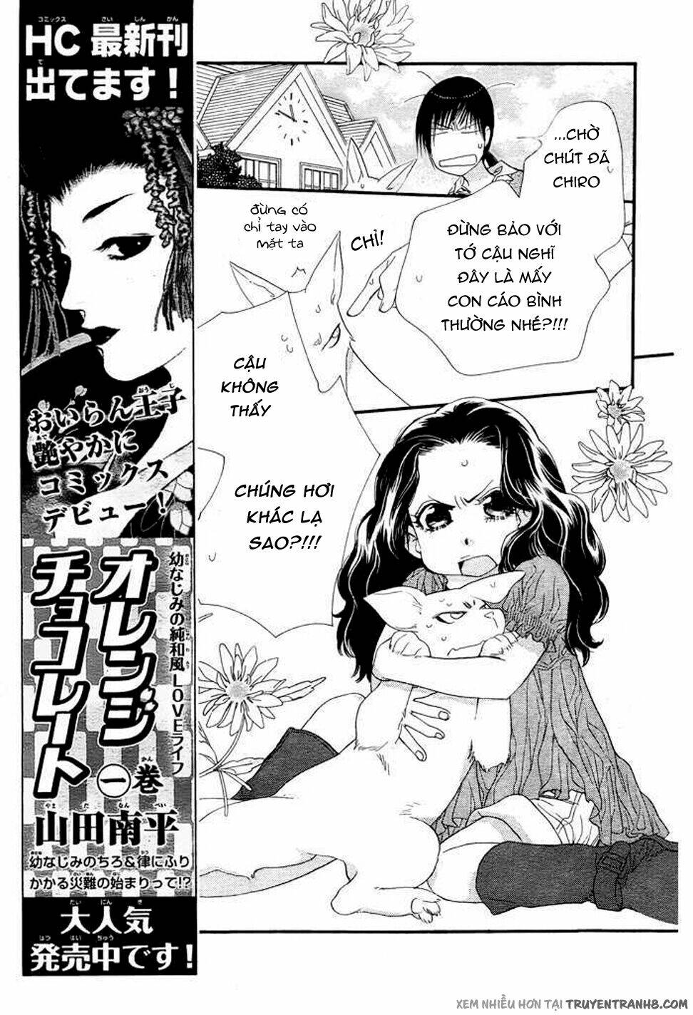 Orange Chocolate: Chapter 8