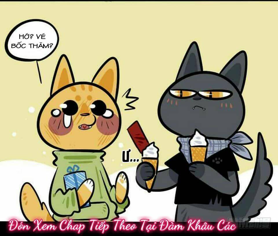 Đời Không Như Mình Tưởng: Chapter 17