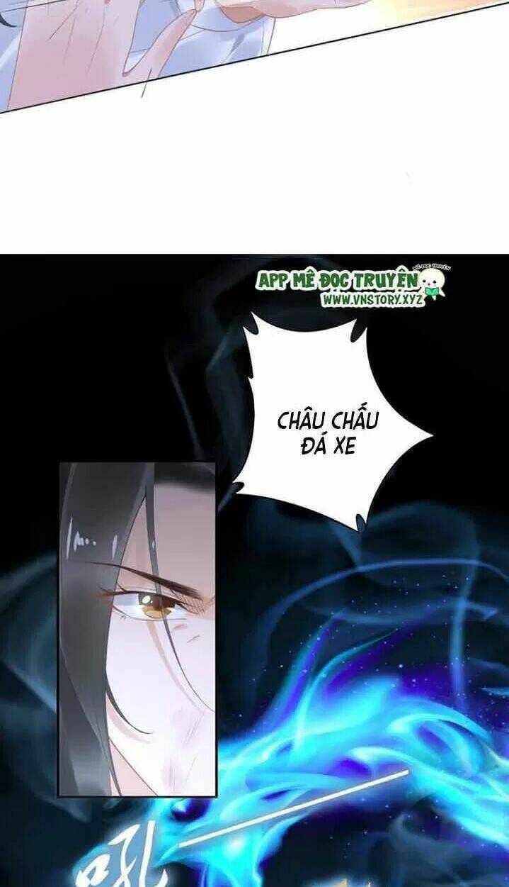 Nhất Sinh Nhất Thế Tiếu Thương Khung: Chapter 48