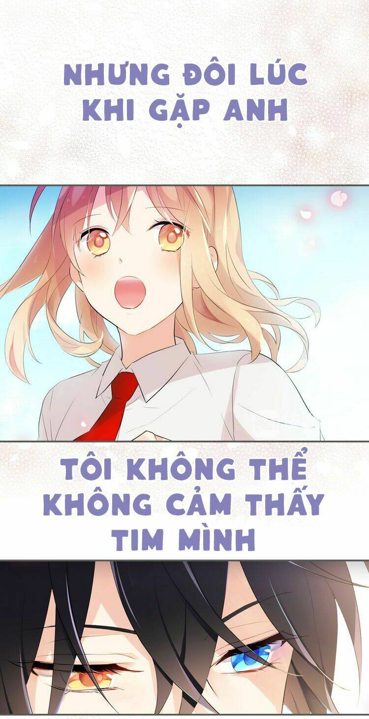 Miêu Vương Tử Đích Tân Nương: Chapter 0.5