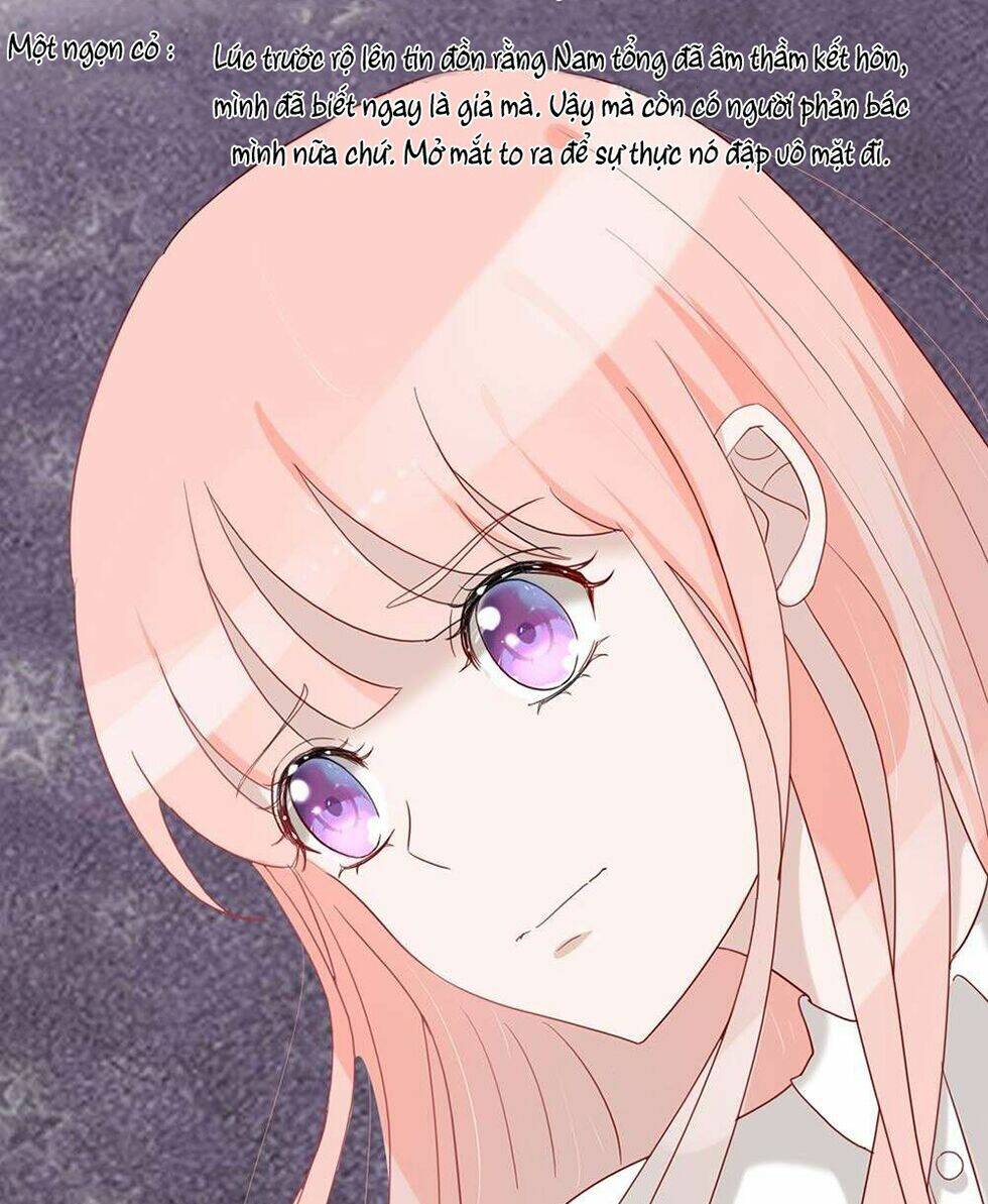 Manh Thê Khó Dỗ: Chapter 48