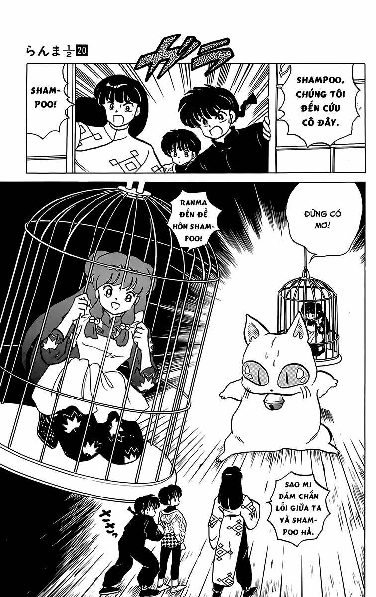 Suối Lời Nguyền: Chapter 209