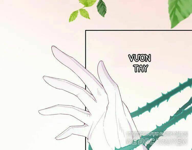 Thuần Trắng Vận Mệnh Chi Luân: Chapter 4