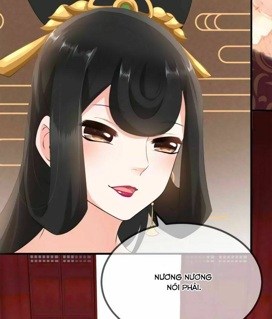 Trù Nương Hoàng Hậu: Chapter 7