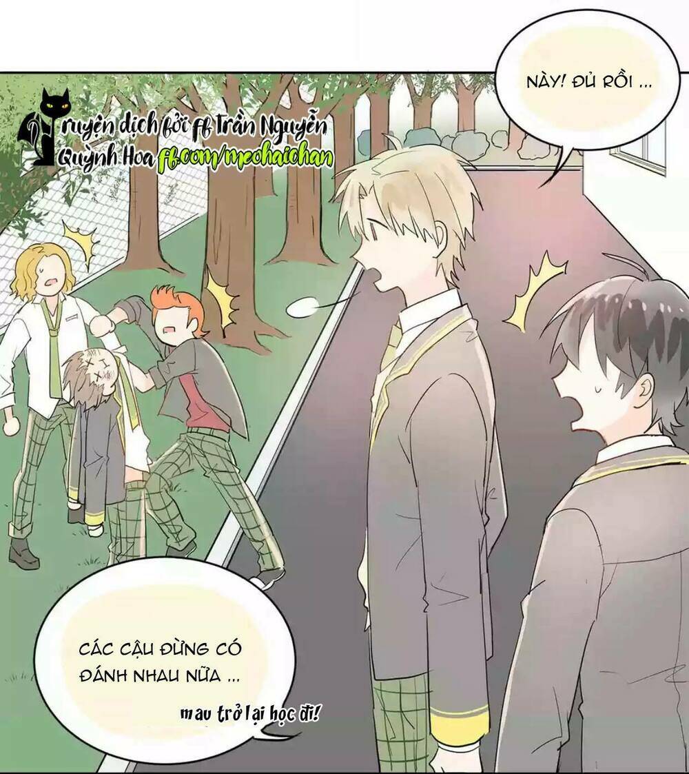 Đầu Gấu Biết Yêu: Chapter 7