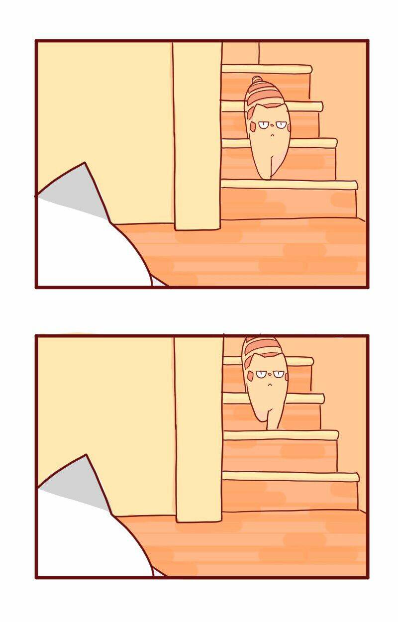 Saphie: Chú mèo một mắt: Chapter 10