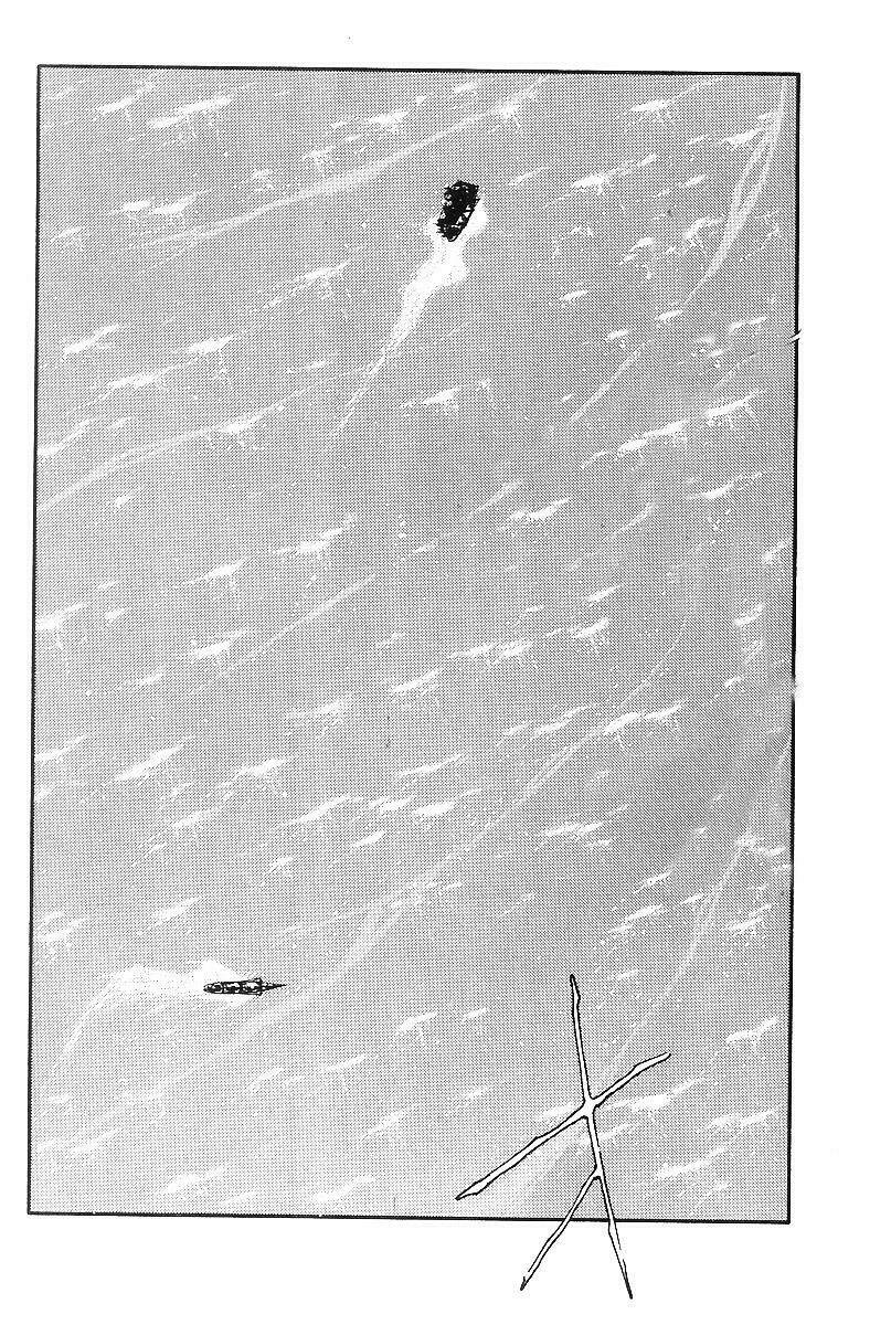 Kaiouki - Hải Hoàng Ký: Chapter 109