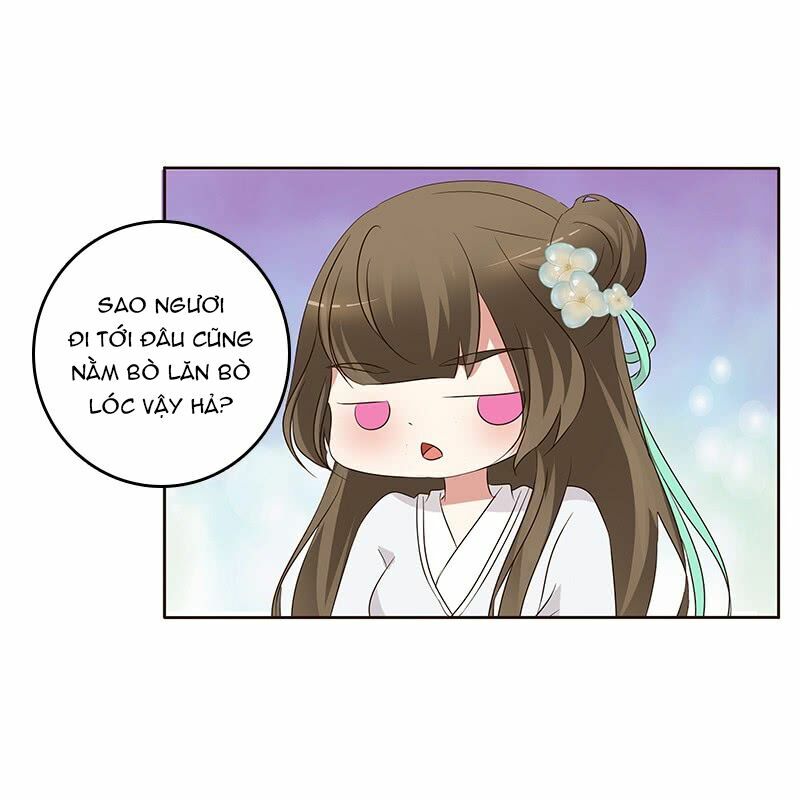 Thông Linh Phi: Chapter 164