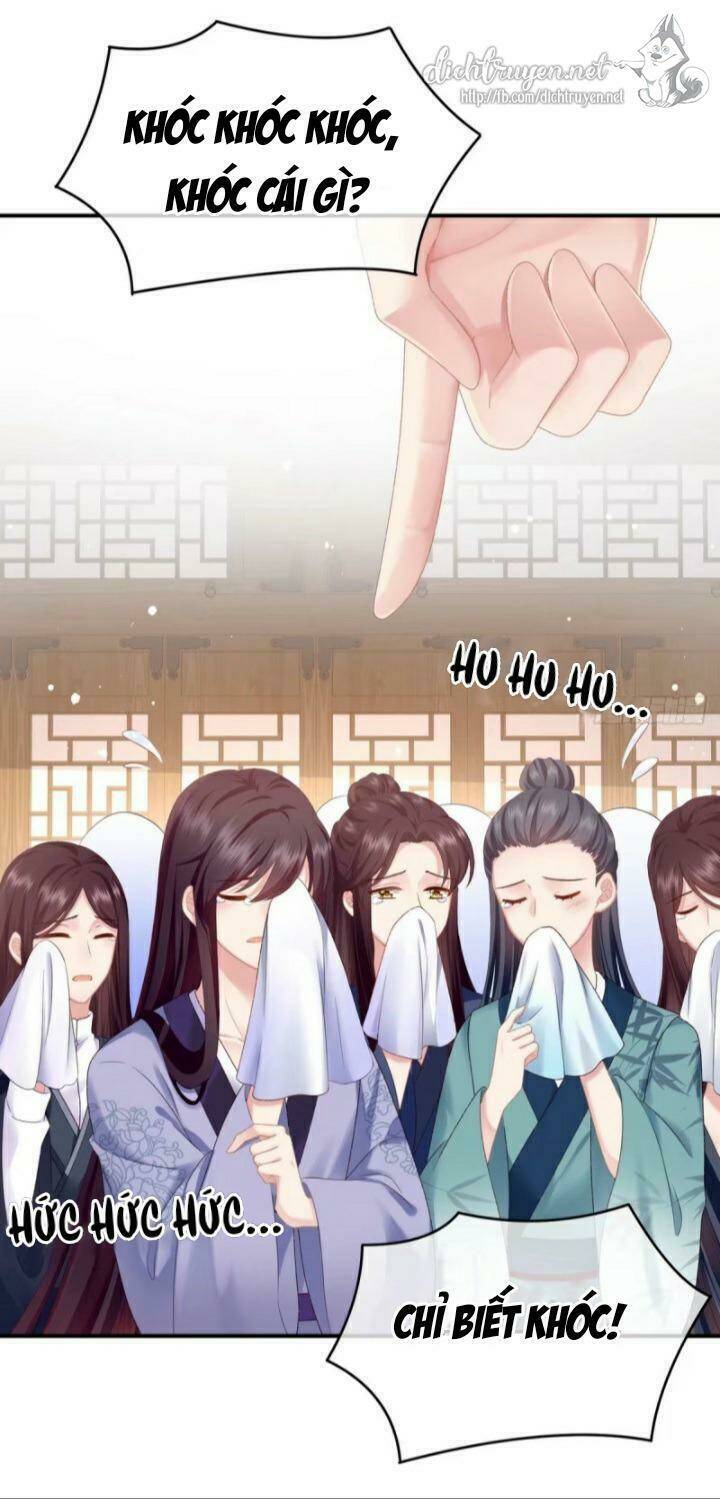Kiều Phu Có Hỉ: Chapter 3
