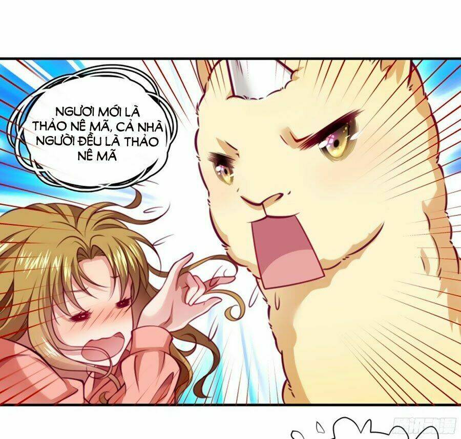 Tiểu Hoàng Thư Và Tiểu Hoàng Thúc: Chapter 1