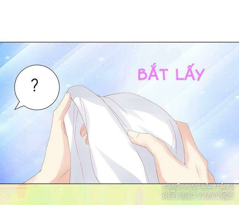 Băng Sơn Học Trưởng Không Được Chọc: Chapter 6