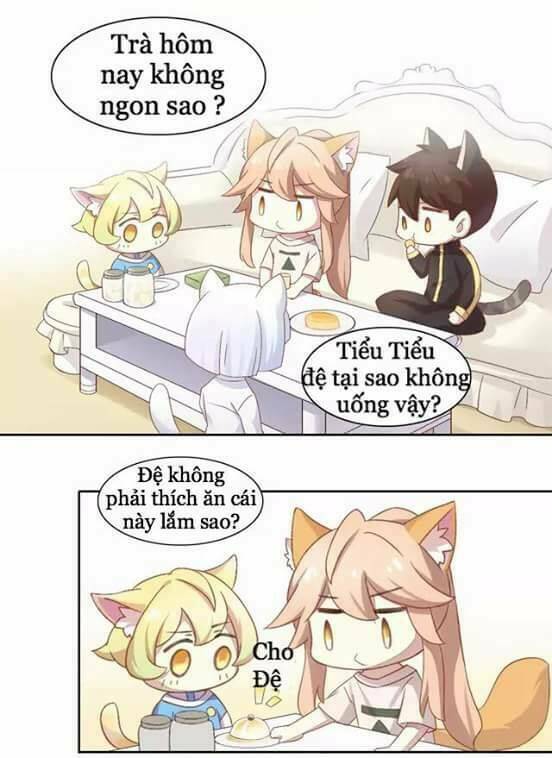 Dưới Móng Vuốt Mèo: Chapter 10