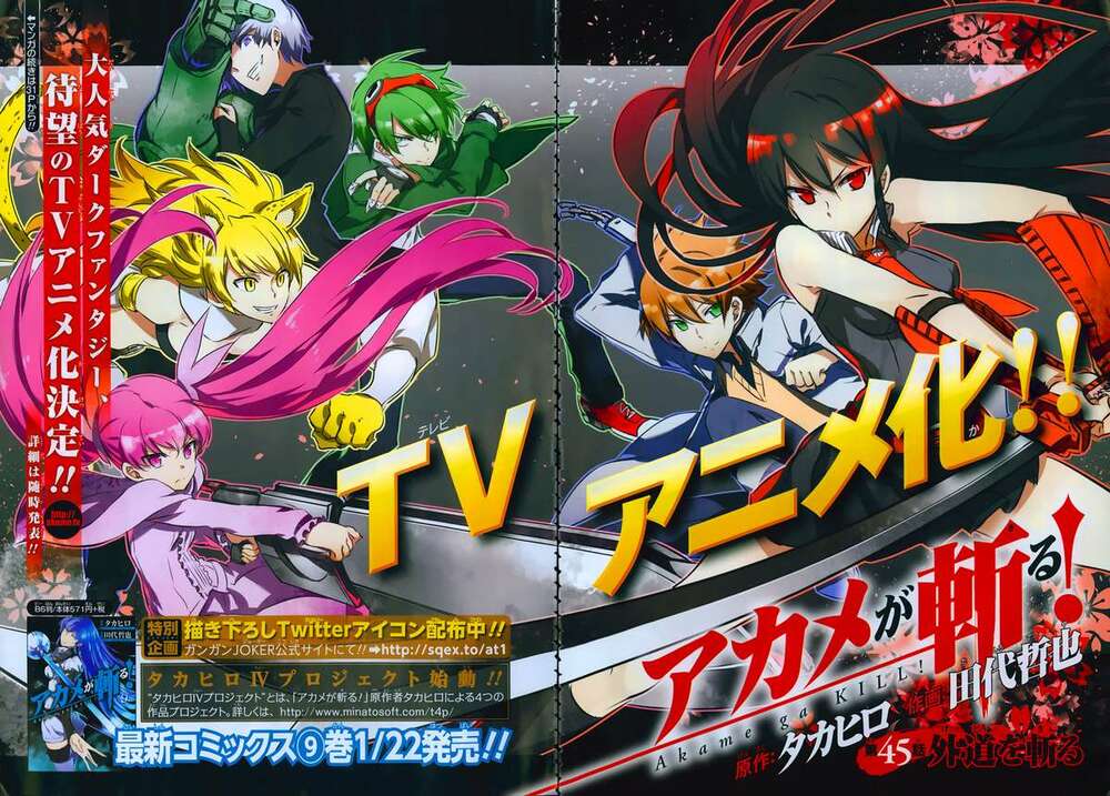 Akame Ga Kiru: Chapter 45