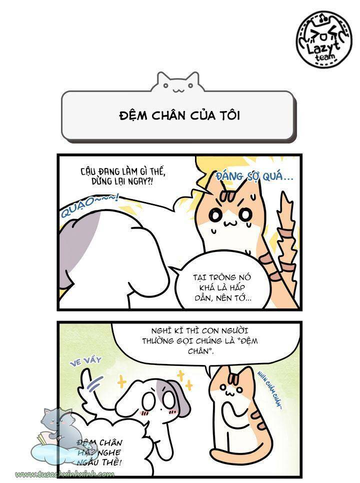 Khi Loài Mèo Làm Bá Chủ Thế Giới: Chapter 8