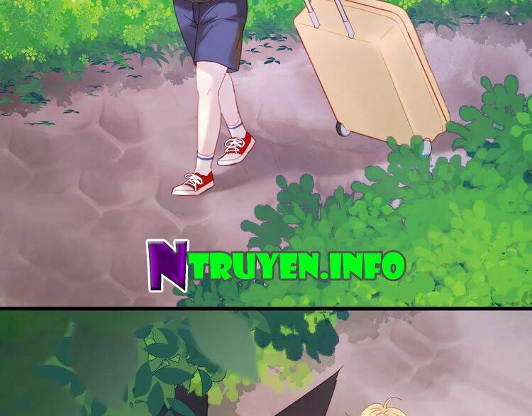 Lượm Được Một Tiểu Hồ Ly 2: Chapter 3