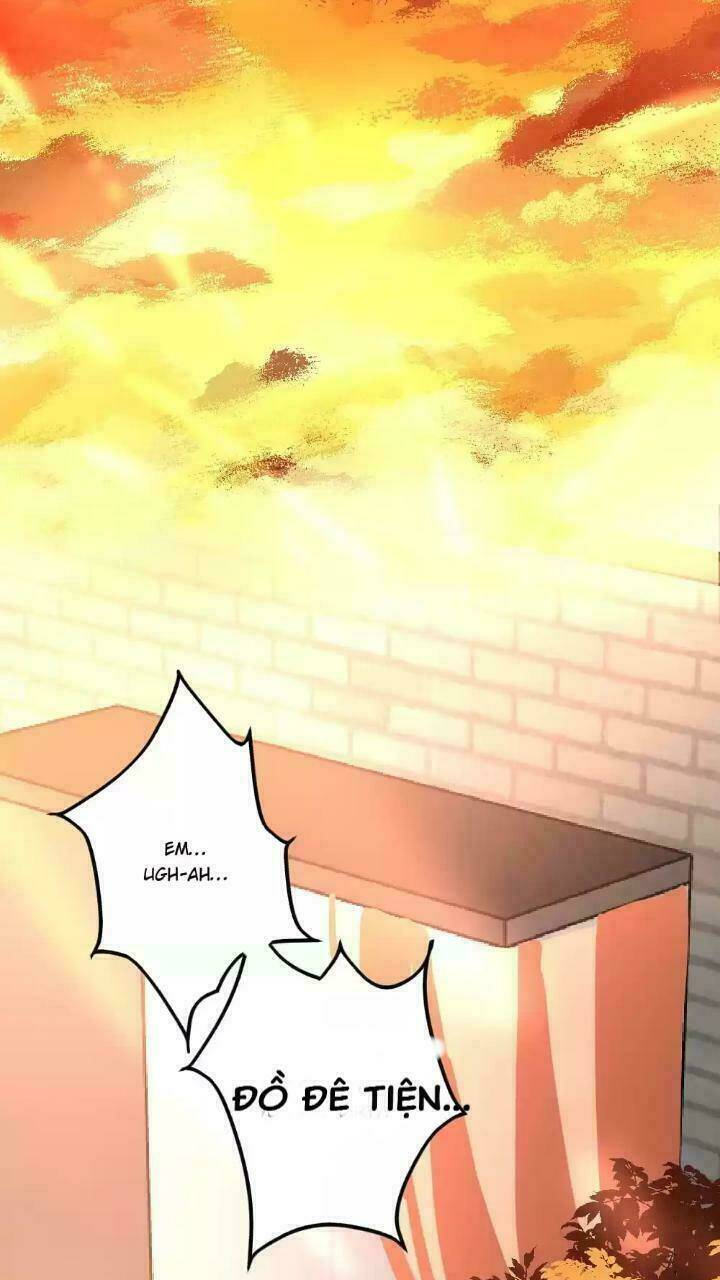 Bản Hợp Đồng Của Tổng Tài Lạnh Lùng: Chapter 5