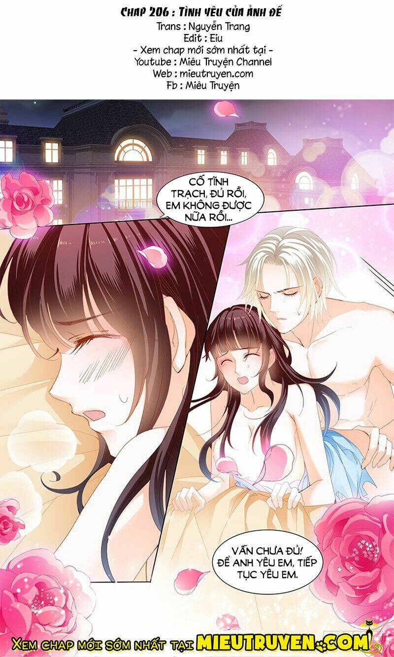 Thiểm Hôn Kiều Thê: Chapter 206