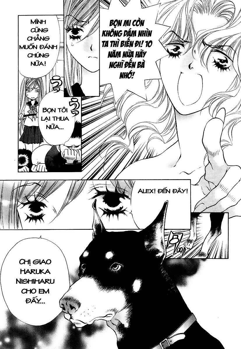 Girls Saurus Dx: Chapter 3