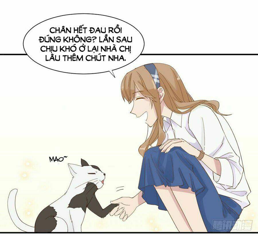 Nguyệt Lão Không Cho Phép Tôi Yêu Đương: Chapter 1.2