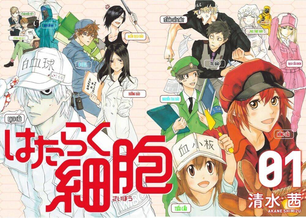Hataraku Saibou!: Chapter 1