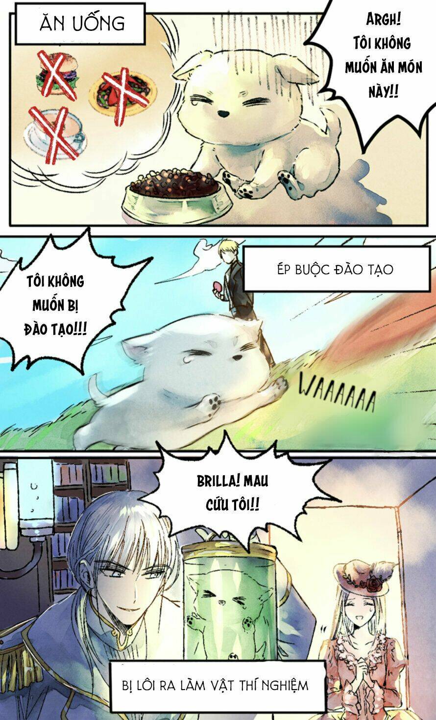 Cún Con Đáng Yêu Của Vị Hoàng Đế!: Chapter 0