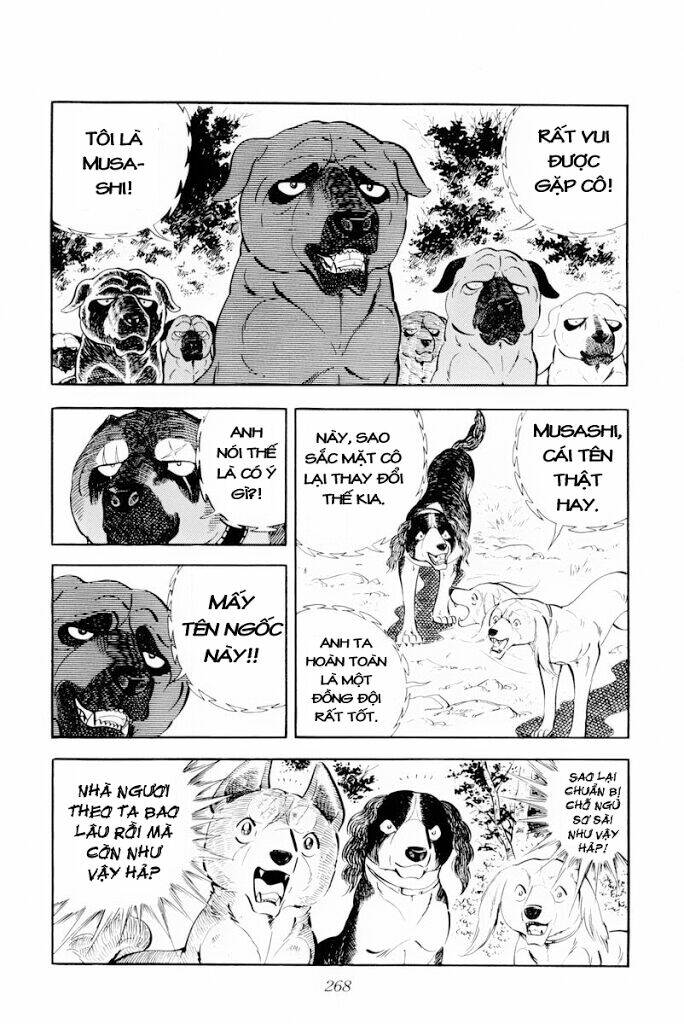 Chú Chó Có Nghĩa - Ginga Nagareboshi Gin: Chapter 30.1