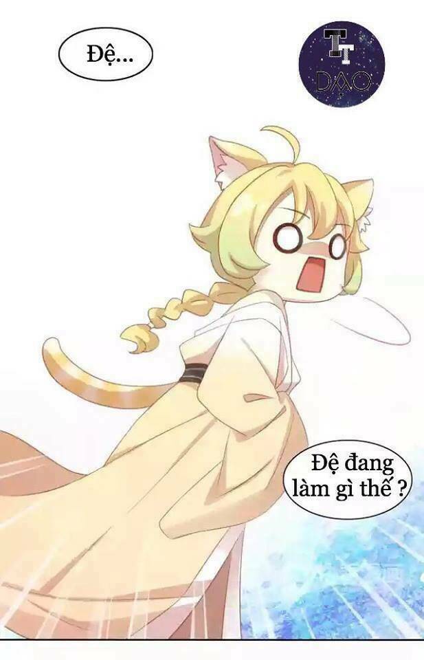 Dưới Móng Vuốt Mèo: Chapter 11
