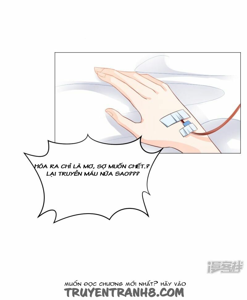 Minh Tinh Là Huyết Tộc: Chapter 5