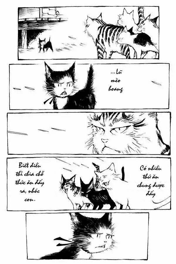 Con Mèo Và Matsu: Chapter 3