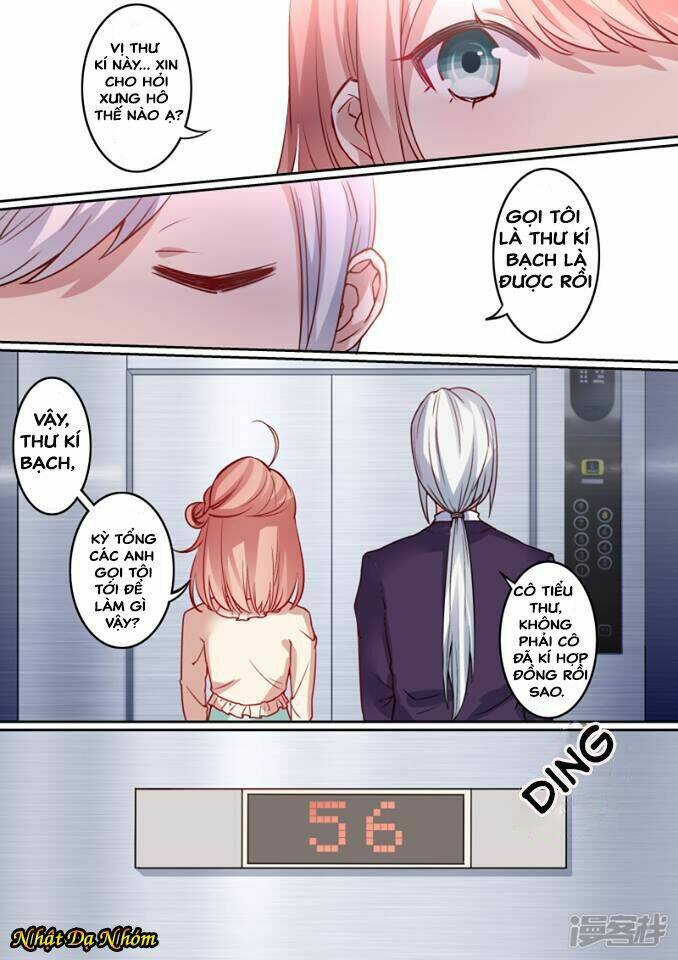 Mùa Hè Của Tổng Tài: Chapter 1