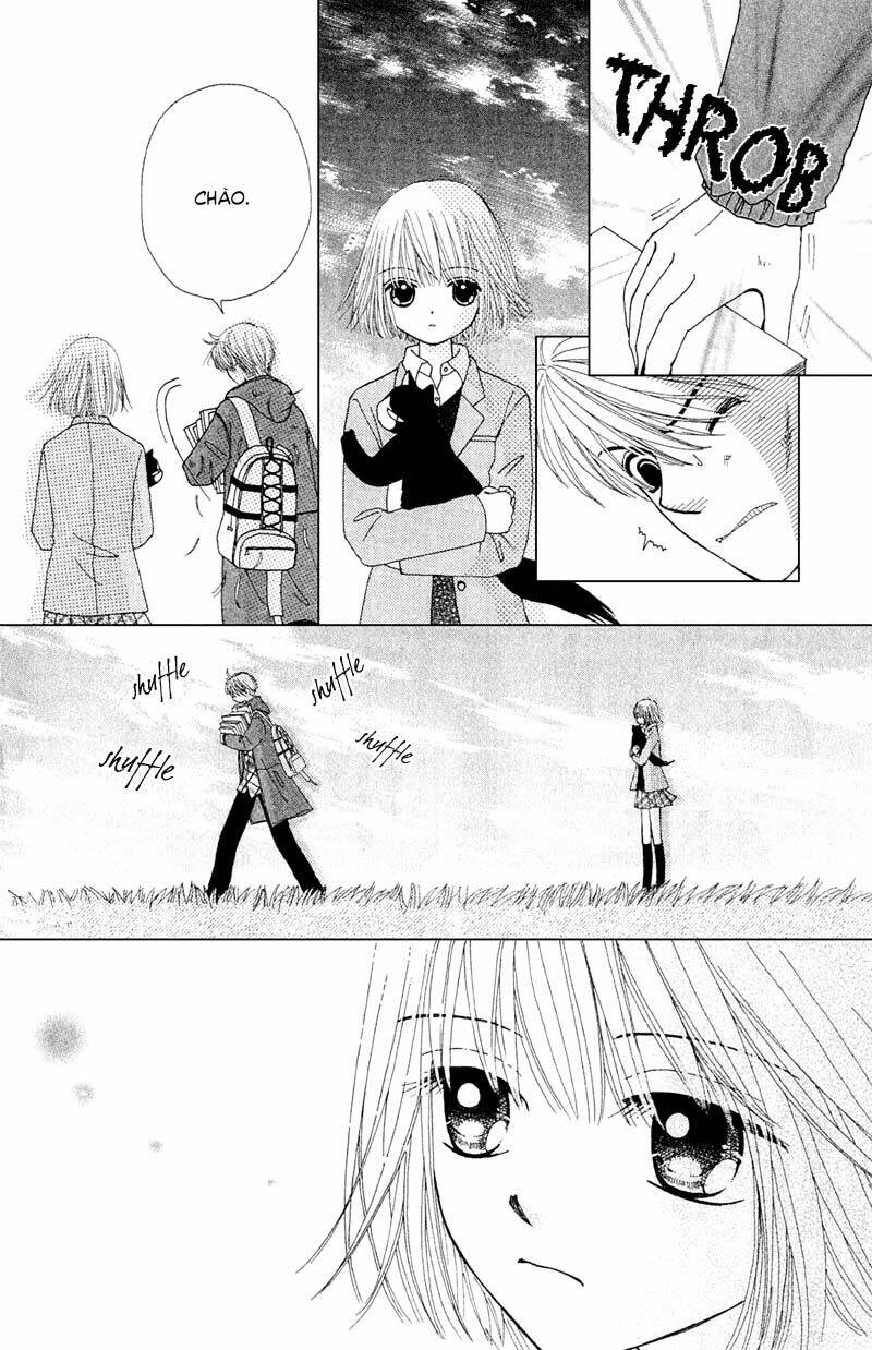 Dự Án Kéo Vàng: Chapter 11