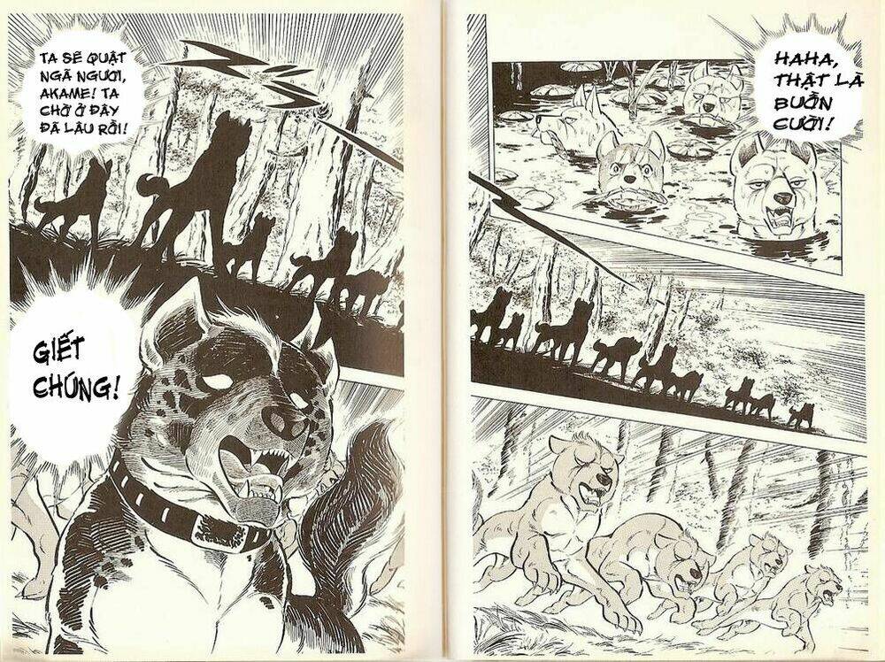 Chú Chó Có Nghĩa - Ginga Nagareboshi Gin: Chapter 19