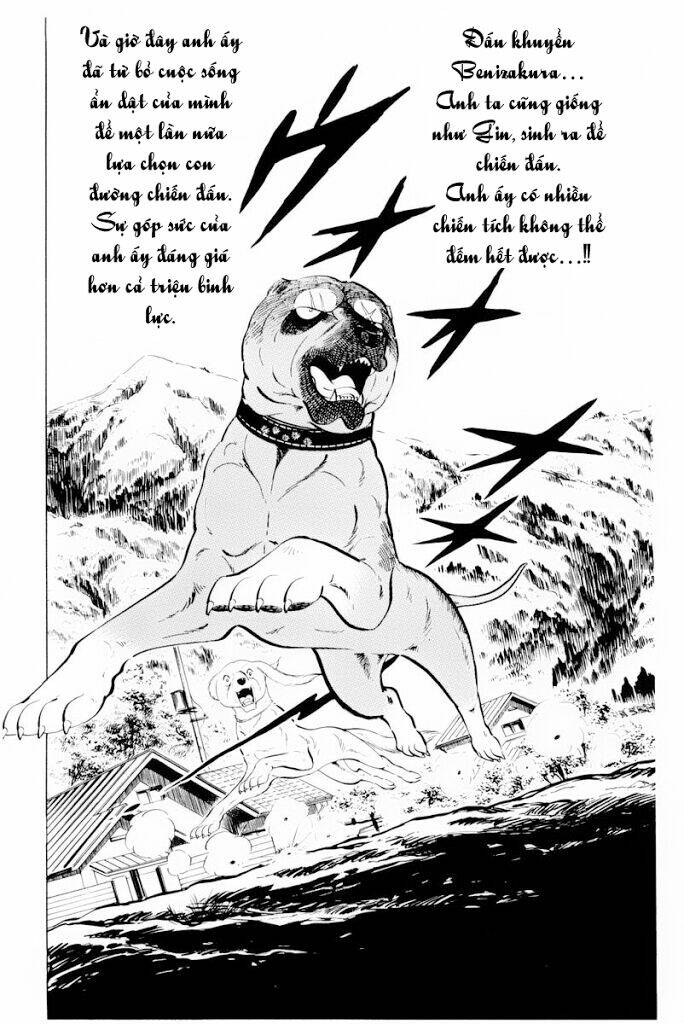 Chú Chó Có Nghĩa - Ginga Nagareboshi Gin: Chapter 30.1