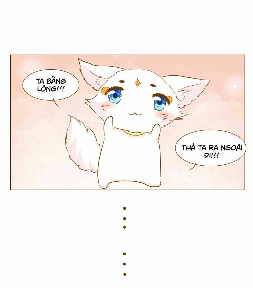 Mẫu Phi Đuôi Của Người Lộ Ra Rồi Kìa: Chapter 52