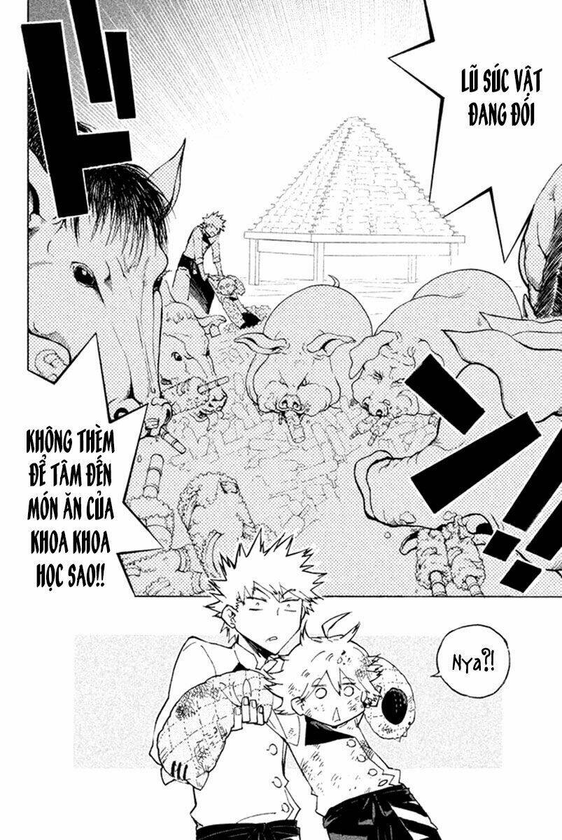 Hell\’s Kitchen: Chapter 33