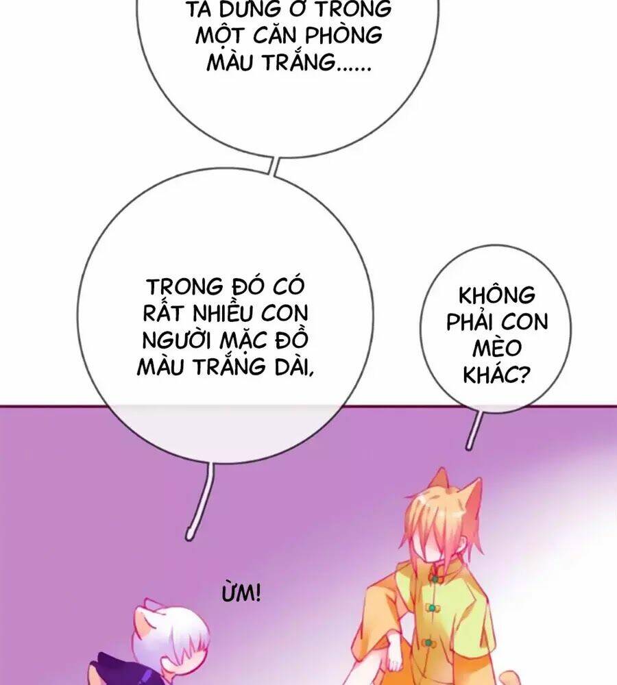 Đừng Nghịch, Ta Chỉ Muốn Yên Tĩnh: Chapter 64