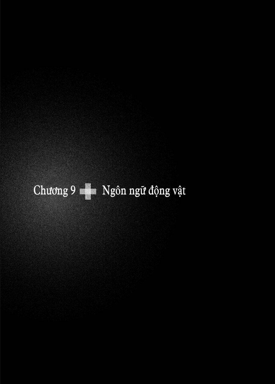 Livingstone: Chapter 9