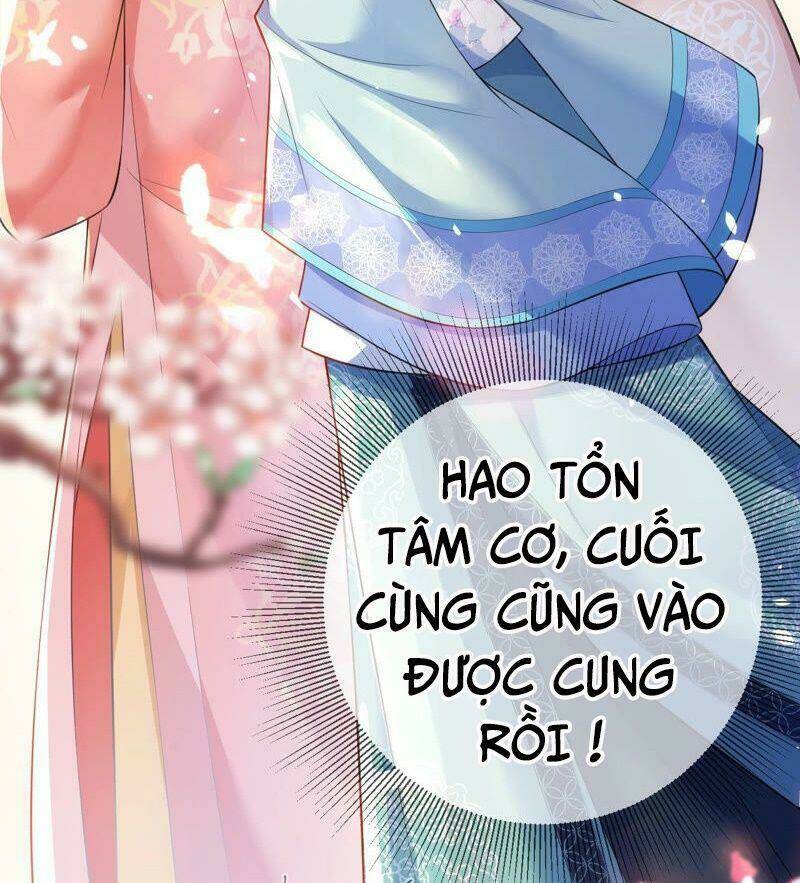 Quận Chúa Vững Vàng, Thiết Lập Nhân Vật Không Thể Vỡ: Chapter 40