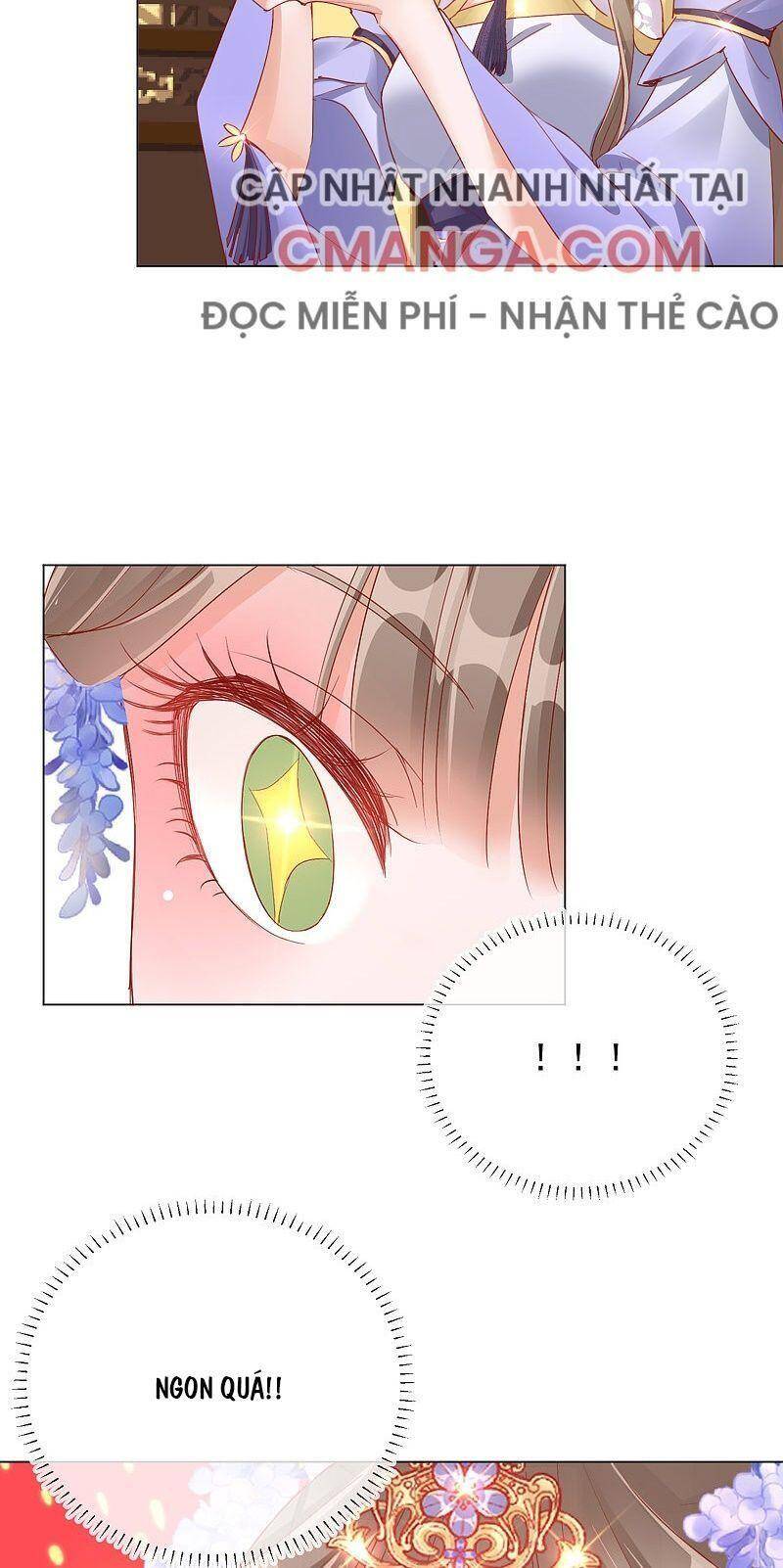 Công Lược Trưởng Thành Của Vương Phi: Chapter 31