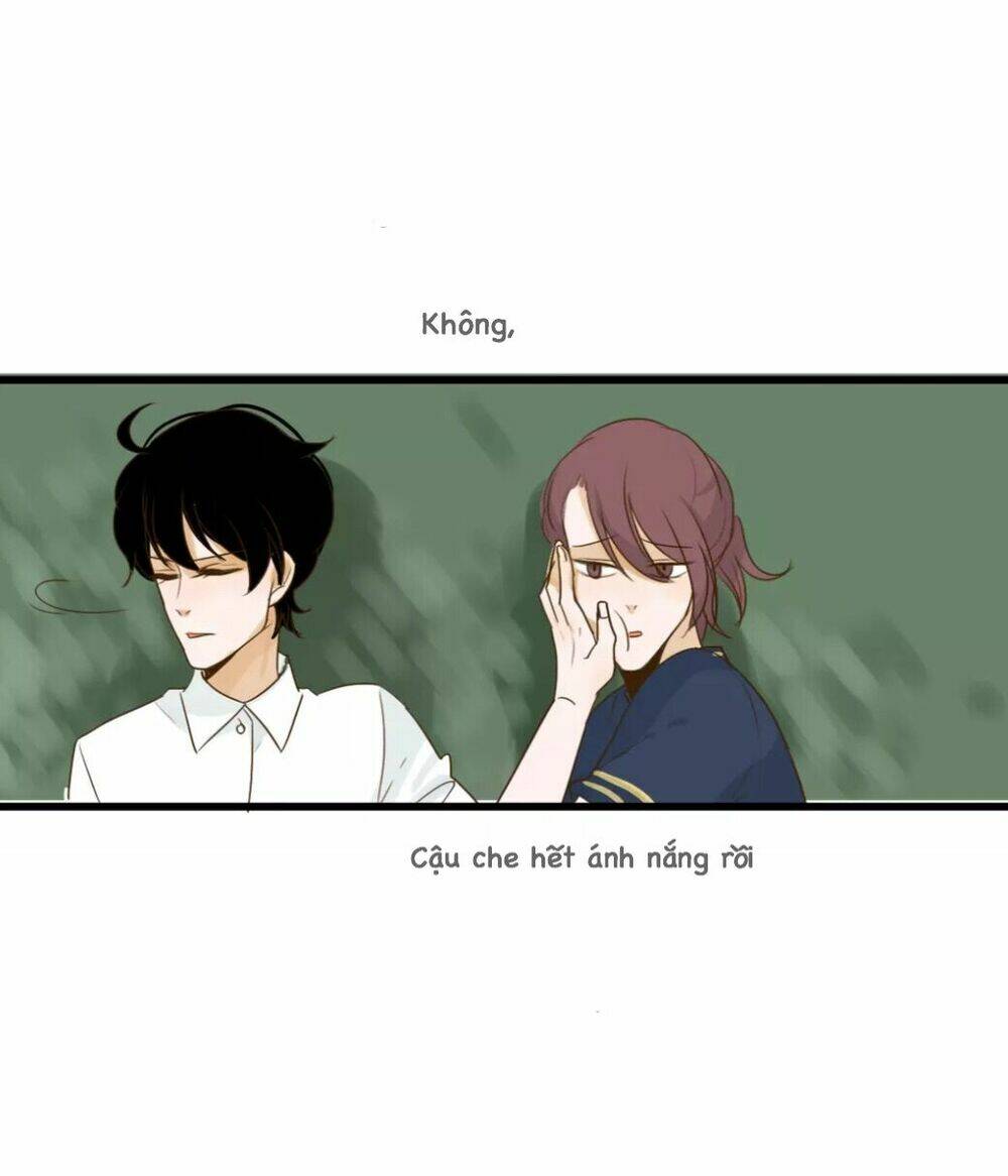 Tình Yêu Dưới Mái Hiên: Chapter 22