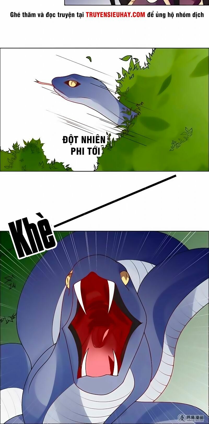 Thiên Tài Tiểu Độc Phi: Chapter 51