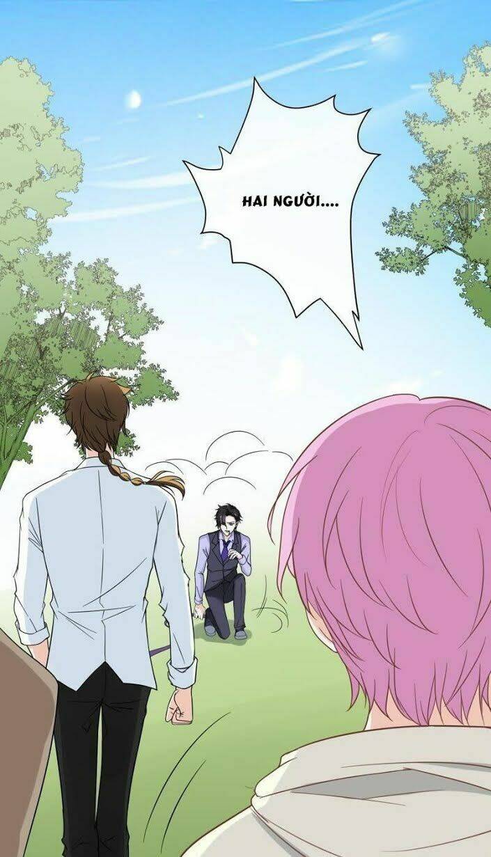 Thập Nhị Hắc Miêu: Chapter 12