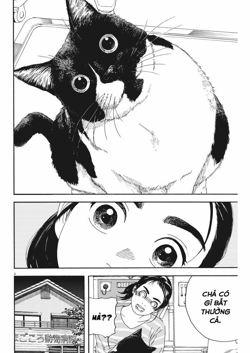 Neko No Otera No Chion-San: Chapter 76