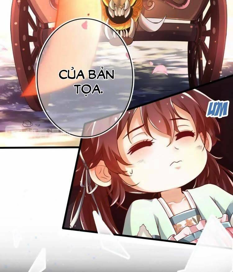 Cứu Ma Tôn Đại Nhân: Chapter 5