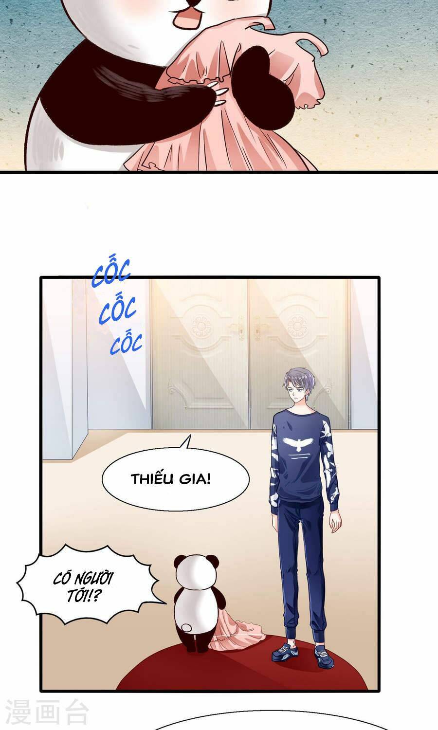 Tôi Bị Gấu Trúc Nhìn Trúng Rồi: Chapter 10