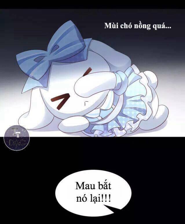 Dưới Móng Vuốt Mèo: Chapter 14